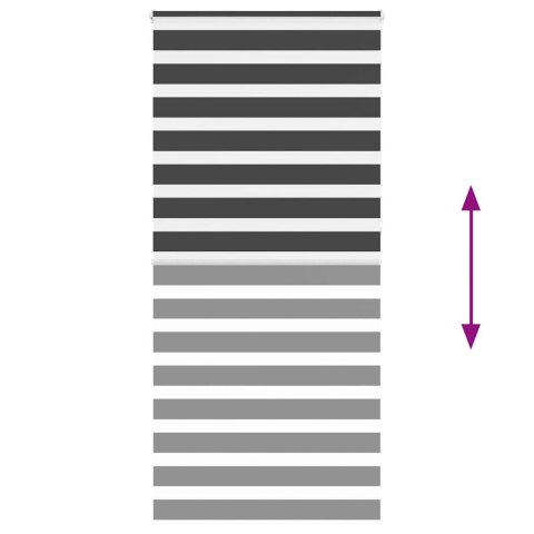 VidaXL Roleta zebra, czarna, szerokość tkaniny 105,9 cm, poliester