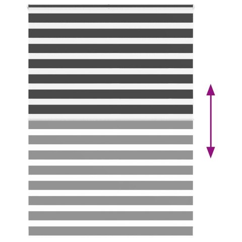 VidaXL Roleta zebra, czarna, szerokość tkaniny 160,9 cm, poliester