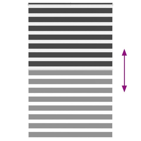 VidaXL Roleta zebra, czarna, szerokość tkaniny 45,9 cm, poliester