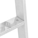 VidaXL Drabinka dokowa 5-stopniowa Srebrny 58 x 77 x 191 cm Aluminium