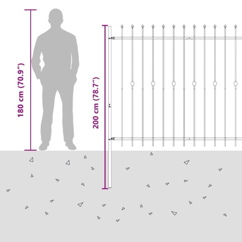 VidaXL Ogrodzenie z kolcami Czarny 200 x 200 cm