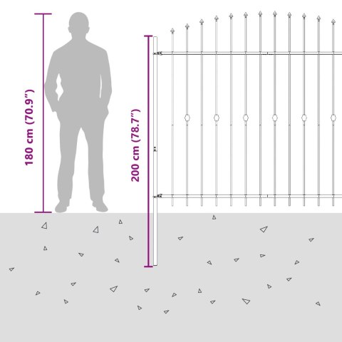VidaXL Ogrodzenie z kolcami Czarny 200 x 200 cm