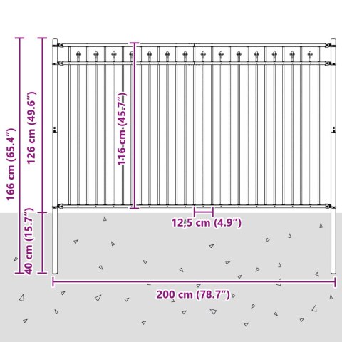 VidaXL Ogrodzenie ze szpikulcem Czarny 200 x 166 cm