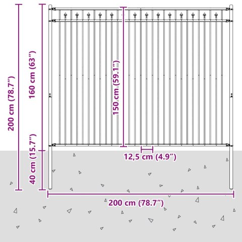 VidaXL Ogrodzenie ze szpikulcem Czarny 200 x 200 cm