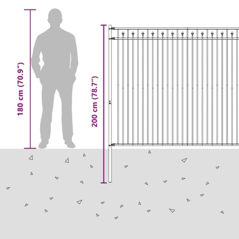VidaXL Ogrodzenie ze szpikulcem Czarny 200 x 200 cm