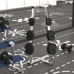 VidaXL Obciążniki żeliwne, 6 szt., 30 kg