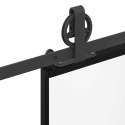 DRZWI PRZESUWNE Z OSPRZĘTEM 102X205CM SZKŁO ESG I ALUMINIUM
