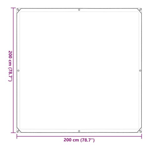 PLANDEKA Z OCZKAMI PRZEZROCZYSTY 2X2M POLIETYLEN
