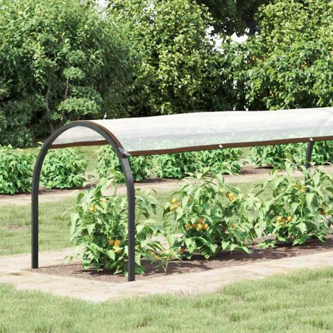 PRZEZROCZYSTA PLANDEKA Z OCZKAMI 1X12M POLIETYLEN