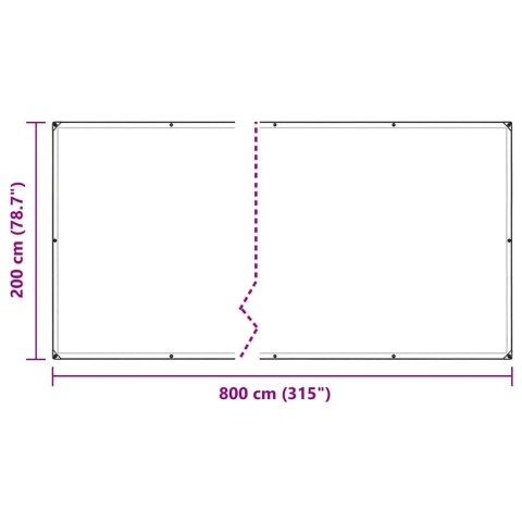 PRZEZROCZYSTA PLANDEKA Z OCZKAMI 2X8M PVC