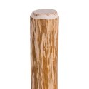 SŁUPKI OGRODZENIOWE SZPICZASTE 4 SZT. LESZCZYNA 90CM