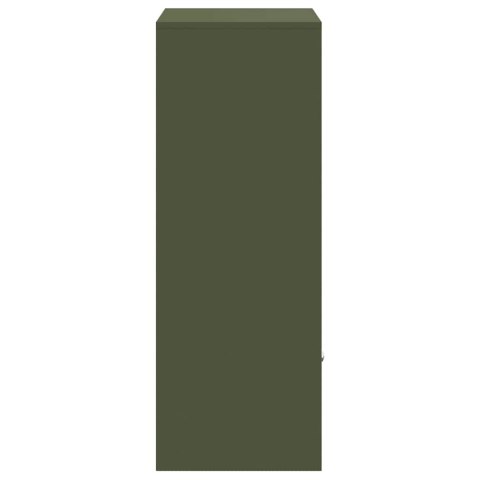 SKRZYNKA NA PRZESYŁKI Z DRZWIAMI OLIWKOWY 41X38X103CM STAL