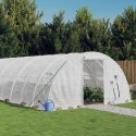 SZKLARNIA ZE STALOWĄ RAMĄ BIAŁA 40M² 10X4X2 M