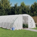 SZKLARNIA ZE STALOWĄ RAMĄ BIAŁA 48M² 12X4X2 M