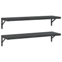 VidaXL Półki ścienne, 2 szt., 100x30 cm, czarna stal nierdzewna