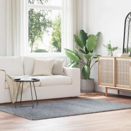 VidaXL Dywan shaggy z długim włosiem, NAVARRA, jasnoszary, 130x200 cm