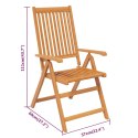 9-CZĘŚCIOWY ZESTAW MEBLI OGRODOWYCH LITE DREWNO AKACJOWE 160-240CM