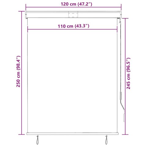 ROLETA ZEWNĘTRZNA SKŁADANA ANTRACYTOWA 120X250CM RĘCZNA