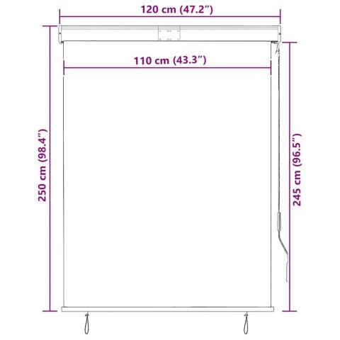 ROLETA ZEWNĘTRZNA 120X250CM NIEBIESKO-BIAŁA