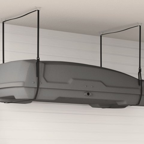 VidaXL Podnośnik do boxu dachowego, 100 kg, nylon