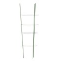 VidaXL Podpórki dla roślin, z 4 obręczami, 5 szt, zielone, 90 cm, stal
