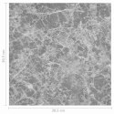VidaXL Deski podłogowe 55 pcs Betonowy Szary 5,11 m² PVC
