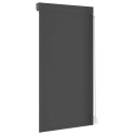 VidaXL Roleta Antracyt 110 x 220 cm Aluminium i poliuretan