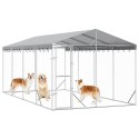 VidaXL Kojec dla psa, z dachem, srebrny, 3x6x2,5 m, stal galwanizowana