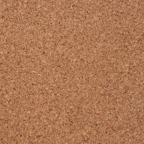 VidaXL Rolka korkowa Brązowy 100 x 500 x 0,2 cm korek