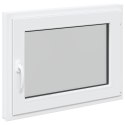 Okno piwniczne RISOR Biały 80 x 60 cm PVC i szkło