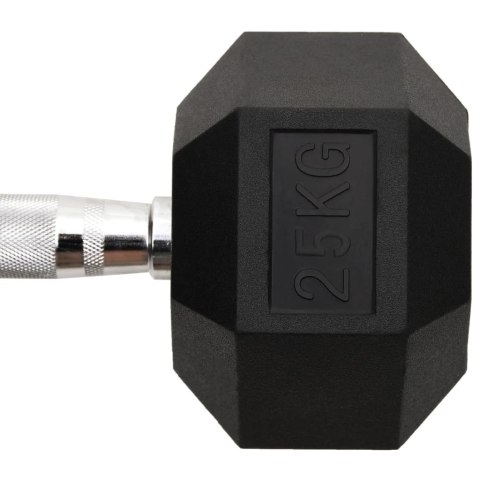 VidaXL Hantel, 25 kg, żeliwo