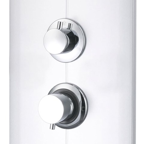 VidaXL Panel prysznicowy, 25x43x110 cm, srebrny