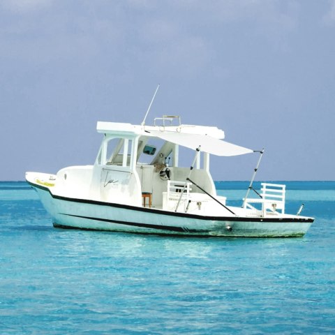 ROZBUDOWA ZADASZENIA ŁODZI T-TOP 170X208 CM BIAŁA PRZEDŁUŻENIE BIMINI 1 SZT
