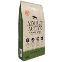 VidaXL Sucha karma dla psów Adult Active Chicken & Fish, 15 kg