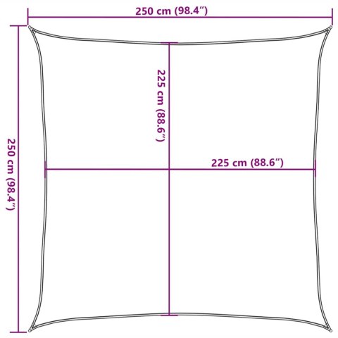 VidaXL Żagiel przeciwsłoneczny, 160 g/m², taupe, 2,5x2,5 m, HDPE