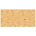VidaXL Terrarium Brązowy 100 x 50 x 100 cm OSB