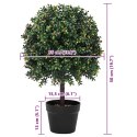 VidaXL Kula Boxwood Zielony 35 x 35 x 50 cm Z tworzywa sztucznego