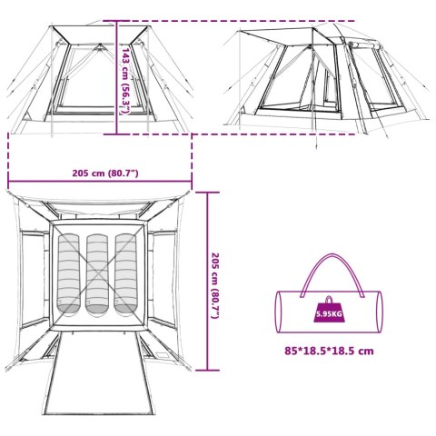 VidaXL Namiot Instant z daszkiem na deszcz dla 3 osób z szybkim zwolnieniem