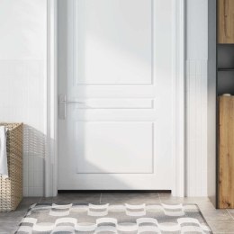VidaXL Uszczelki z szczotką do drzwi na zatrzask 2 pcs Srebrny 100 cm