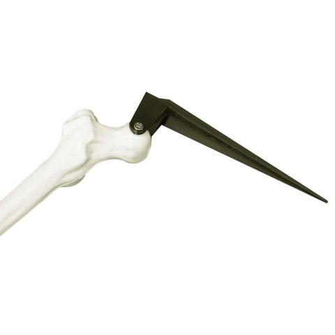 VidaXL Szkielet Halloween z kolcami na ziemi Biały 45,5 x 13 cm