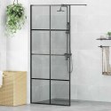 VidaXL Ściana prysznicowa typu walk-in Czarny 90 x 195 cm