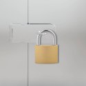 VidaXL Zamek U z kluczami Mosiądz 6 x 2 x 9,1 cm Żelazo