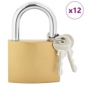 VidaXL Zamek U z kluczami Mosiądz 6 x 2 x 9,1 cm Żelazo