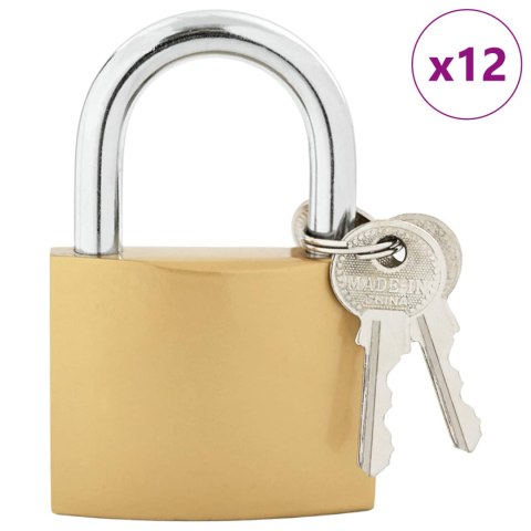VidaXL Zamek U z kluczami Mosiądz 6 x 2 x 9,1 cm Żelazo