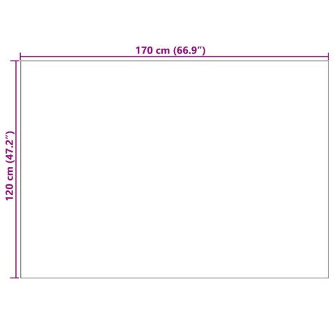 VidaXL Dywany pokojowe AGIRA Naturalny 170 x 120 cm Poliester