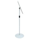 STOJAK NA PLAKATY SREBRNY 33X33X126CM PVC I STAL
