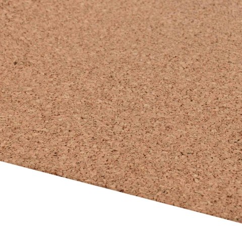 VidaXL Rolka korkowa brązowy 100 x 1000 x 0,2 cm korek