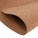 VidaXL Rolka korkowa brązowy 100 x 1000 x 0,5 cm korek