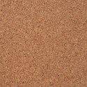 VidaXL Rolka korkowa brązowy 100 x 500 x 0,2 cm korek