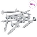 VidaXL Śruba 7792 pcs Srebrny 9,8 x 35 mm Żelazo